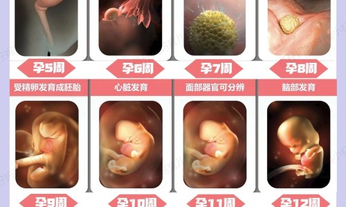 脑蛋白水解片的说明书是什么、脑蛋白水解片的说明书是什么 -脑蛋白水解片的说明书网